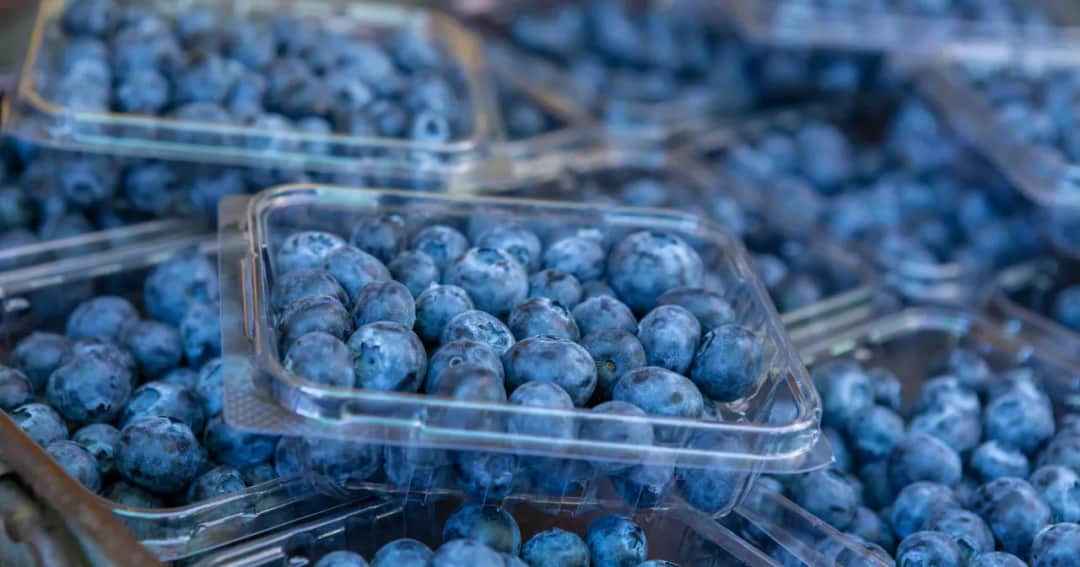 Borówki: tuczą czy odchudzają? Ekspert wyjaśnia!