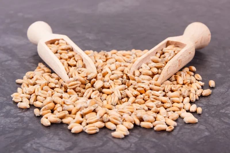 Czy makaron ma gluten? Rozwiewamy wątpliwości i wskazujemy alternatywy