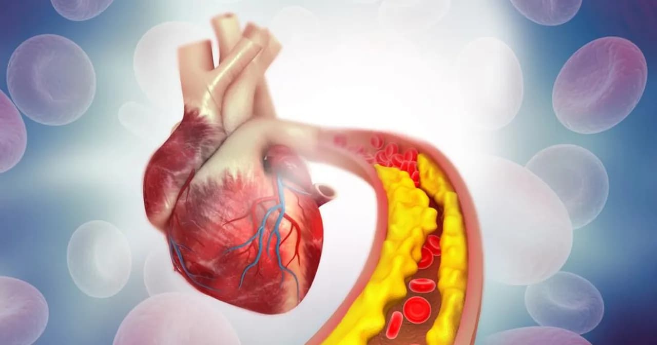 Twój cholesterol: Jak zbadać, zrozumieć wyniki i chronić serce?